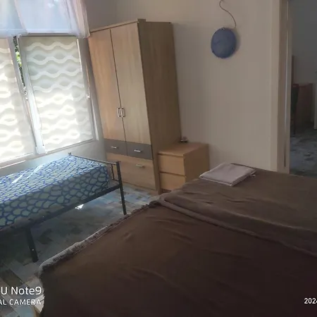 Apartment Mit Garten Zentral Schwerin (Mecklenburg-Vorpommern)